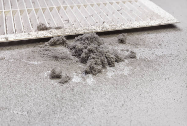 Best Air Duct Cleaning Company Near Me  in Somerville, TN