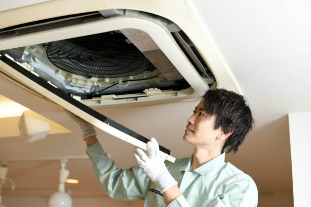 Best Air Duct Inspection  in Somerville, TN