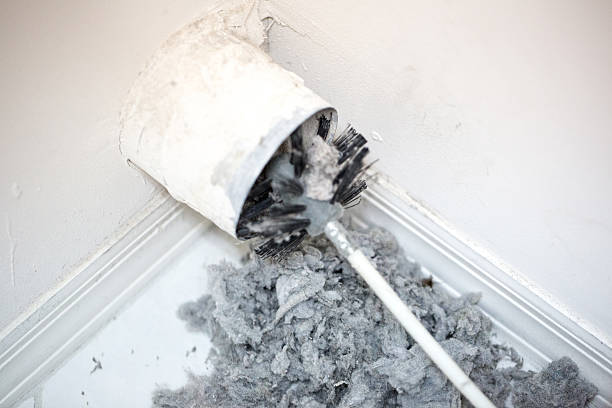 Best Dryer Vent Cleaning Services  in Somerville, TN